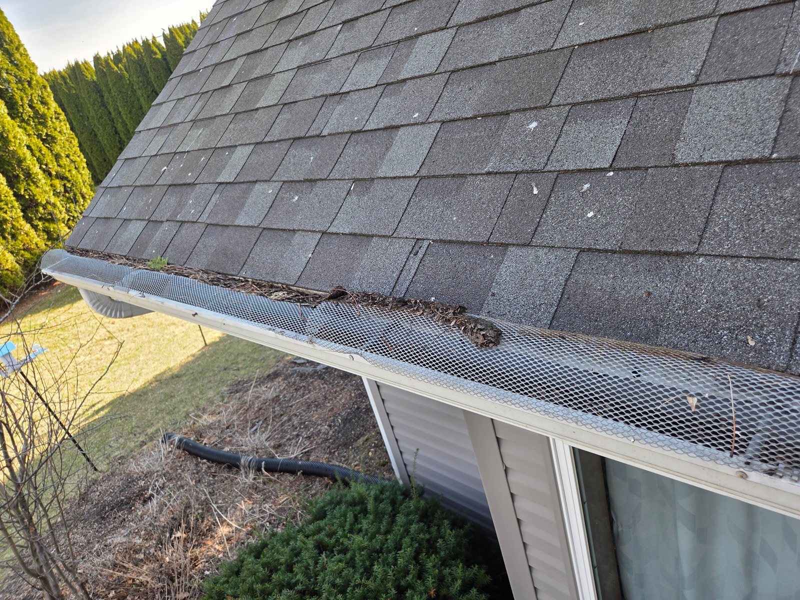 Before: gutter guard screen packed with leaves and debris